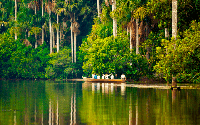 Lugares turísticos de Amazonas, Perú 9 parque nacional manu amazonas