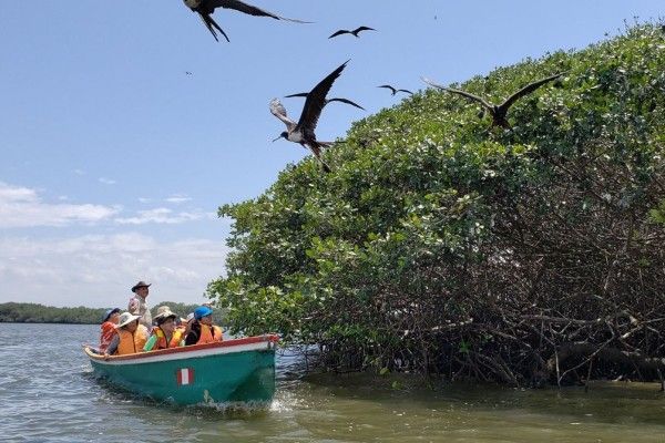 Santuario Nacional los Manglares de Tumbes