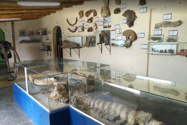 Museo Elba Aranda de Sarango
